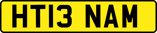HT13NAM