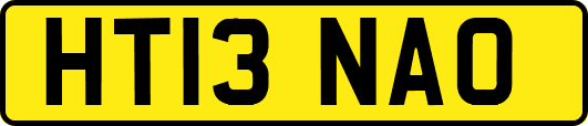 HT13NAO