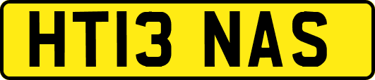 HT13NAS