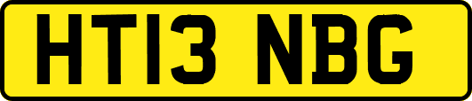 HT13NBG