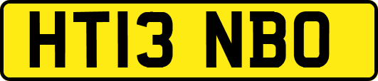 HT13NBO