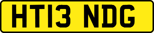 HT13NDG
