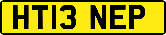 HT13NEP