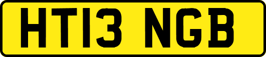 HT13NGB