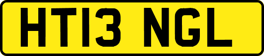 HT13NGL