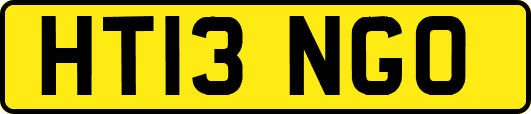 HT13NGO