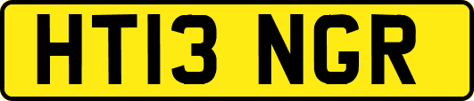 HT13NGR