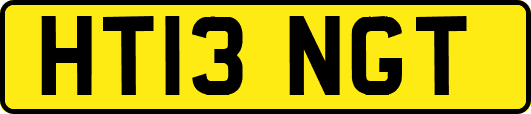 HT13NGT