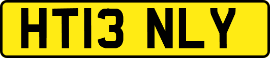 HT13NLY