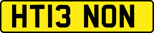 HT13NON