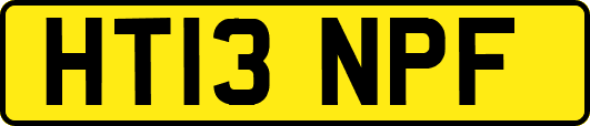 HT13NPF