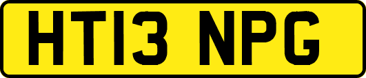 HT13NPG
