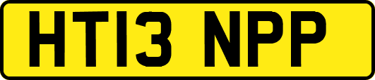 HT13NPP