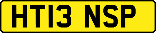 HT13NSP