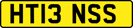 HT13NSS