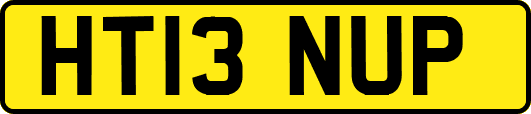 HT13NUP