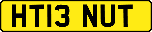 HT13NUT