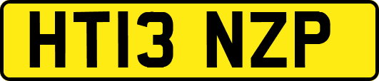 HT13NZP
