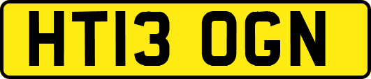 HT13OGN