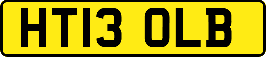 HT13OLB