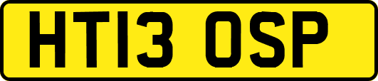 HT13OSP