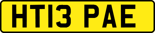 HT13PAE