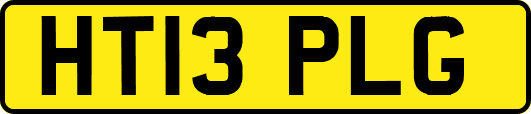 HT13PLG