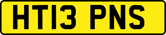 HT13PNS