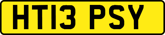 HT13PSY