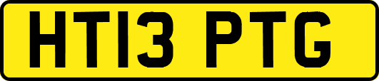HT13PTG