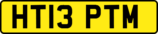 HT13PTM