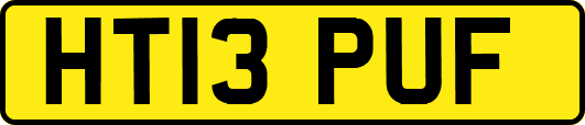 HT13PUF