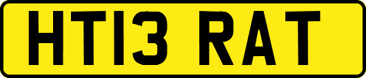 HT13RAT