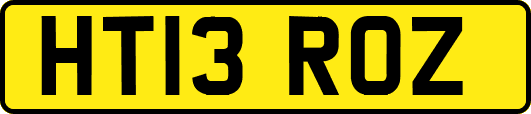 HT13ROZ