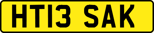 HT13SAK