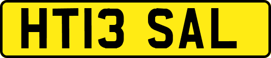 HT13SAL