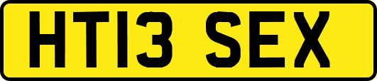 HT13SEX