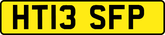 HT13SFP