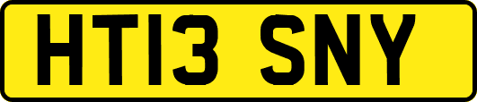 HT13SNY