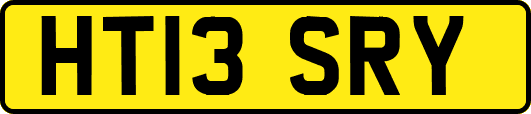 HT13SRY