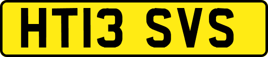 HT13SVS