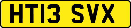 HT13SVX