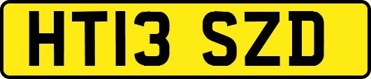 HT13SZD