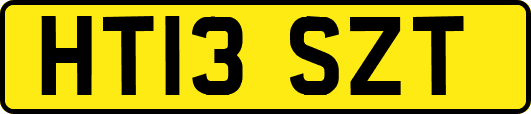 HT13SZT