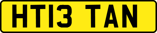 HT13TAN