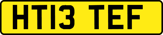 HT13TEF