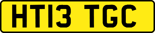 HT13TGC