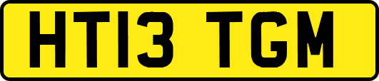 HT13TGM