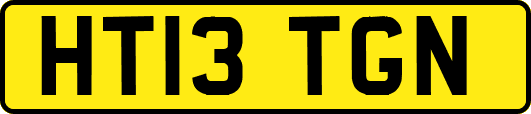 HT13TGN