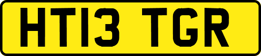 HT13TGR